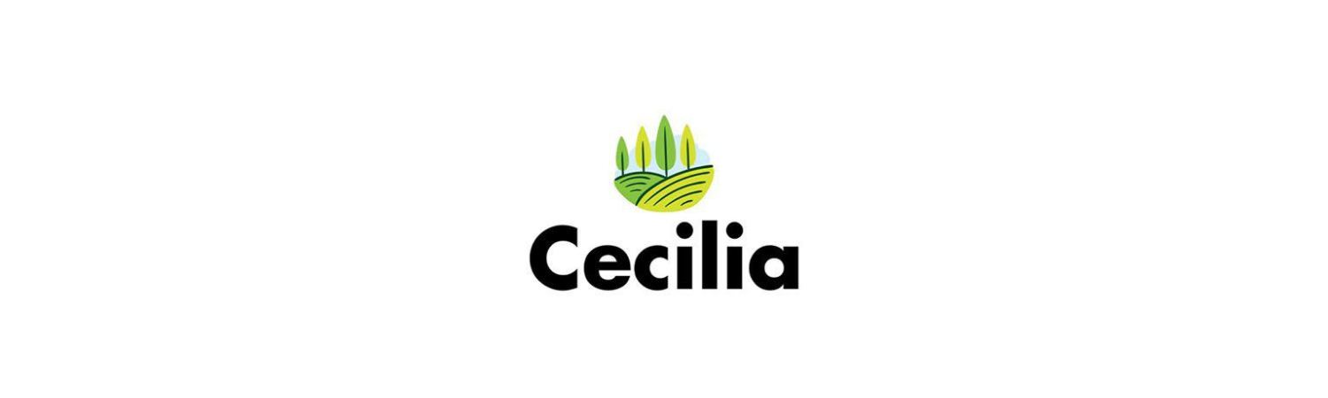 Poppellaa.com - Branding project for Cecilia